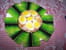 Aspic de jardini�re