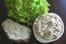 Rillettes de thon l�g�re au basilic