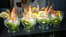 Verrine de crevettes aux kiwis