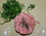 Tartare aux 2 saumons et fenouil