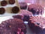 Brownies
