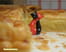Galette � la cr�me d amandes