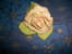 Rose en p�te d amande