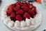Pavlova