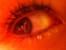 Rose en p�te d amande