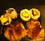 Filet de poulet forestier et son aum�ni�re