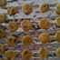 Cookies (recette de Laura Todd)