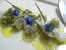 Tartare d huitre aux agrumes, fin cannellonis de gel�e d eau de mer
