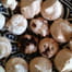 Meringues
