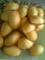 Madeleines faciles