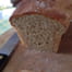 Brioche