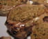 M�daillons de veau, sauce aux �chalotes