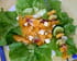 Salade et brochettes d �t�