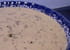 Velout� de champignons aux lardons