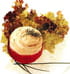 Tomates confites au ch�vre frais