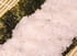 Riz vinaigr� pour sushis