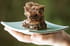 Brownies au Nutella