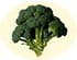 Brocoli