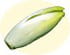 Endive