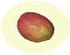 Mangue