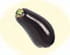 Aubergine