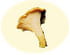 Girolle