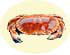 Crabe