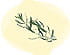 Estragon