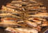Sardines po�l�es