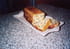 Pain de courgettes