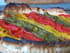 Tarte color�e aux poivrons