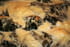 Blettes au gratin