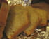 Biscuit � l huile d olive et au romarin
