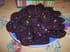 Cookies au smarties