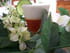 Verrine de tomate au concombre