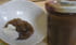 Cr�me de marrons maison