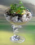 Verrine de lotte aux herbes fines du jardin