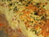 Hachis parmentier