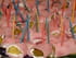 Jambon roul� au fromage