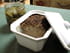 Terrine de foies de volaille
