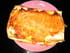 Lasagnes tomates-ch�vre