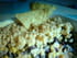 Crumble mexicain