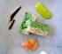 Terrine de brocolis et crevettes roses
