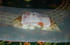 Saumon aux poires en papillottes