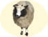 Mouton
