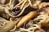 Spaghettis aux c�pes