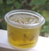 Marmelade de citrons verts
