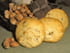 Cookies au chocolat et aux noisettes