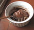 Ni cr�me ni mousse au chocolat