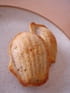 Financiers aux noisettes